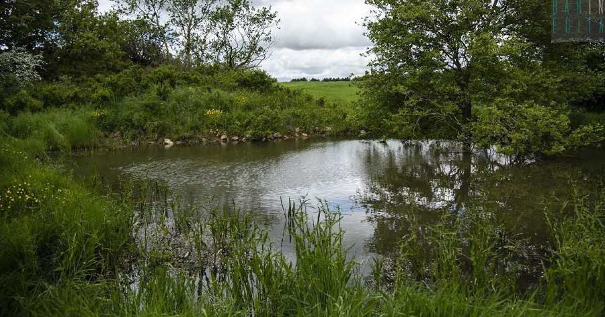 Il Pulicchio e il Laghetto di San Giuseppe: oasi solitarie immerse nell'Alta Murgia